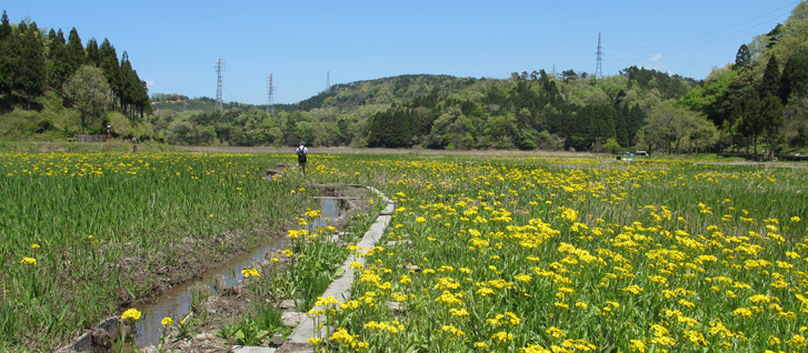 都市计划区域的定义以及指定