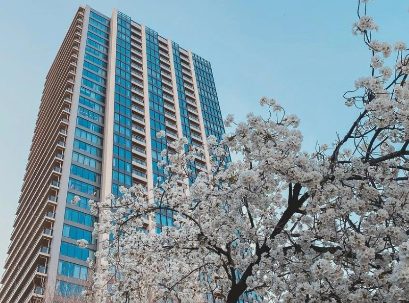 攻略狂潮下的日本买房:塔楼陷阱、独栋诱惑与信息风暴 攻略狂潮下的日本买房:塔楼陷阱、独栋诱惑与信息风暴